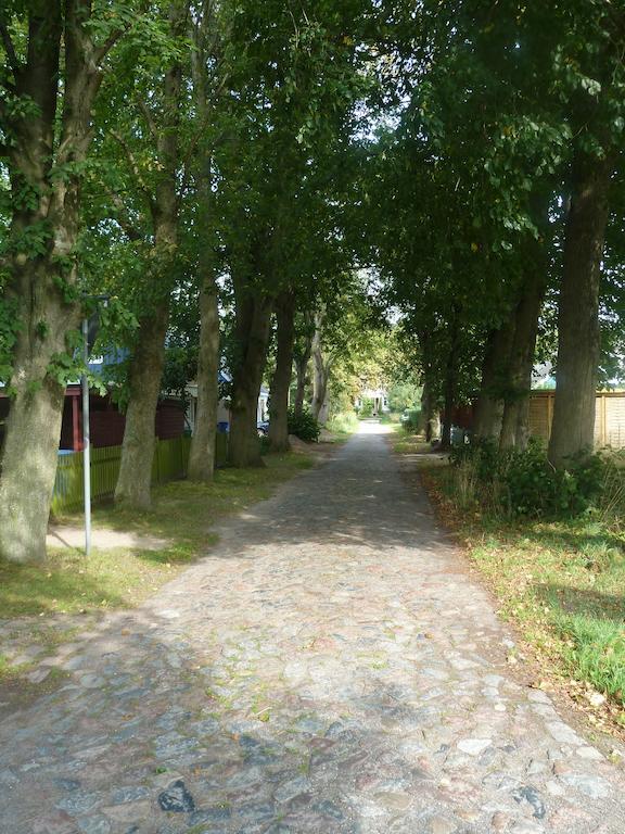 Haus Sturmschwalbe Villa Ummanz Eksteriør billede